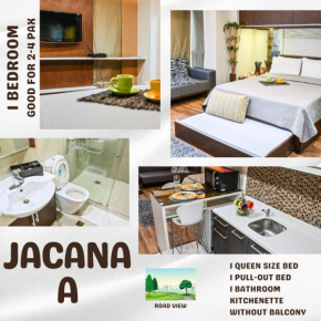 Jacana A Studio Pico de Loro by PTours